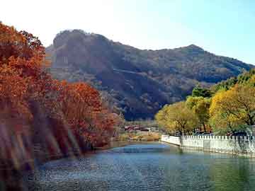 新澳天天开奖资料大全旅游团，小区人防卖烤串